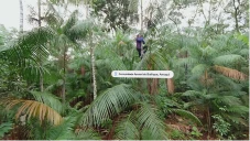 Frame do video Sustainable Amazon Exports retratando a comunidade de arraiol do bailique